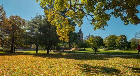 campus in the fall