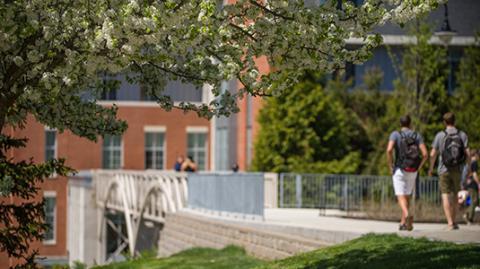 Students walking on campus