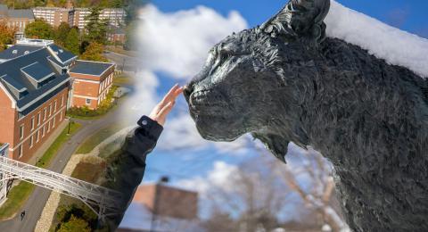 wildcat statue and Hamilton Smith Hall