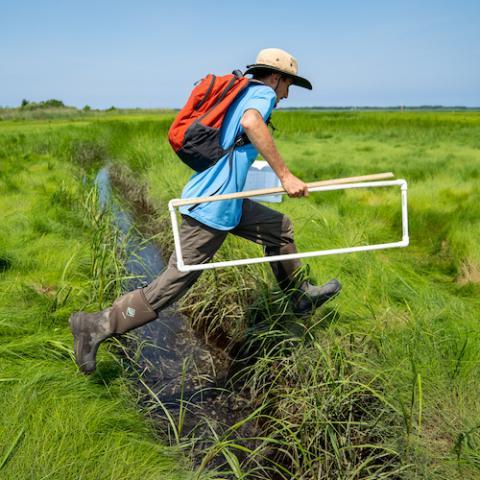 研究er in salt marsh carrying a transept